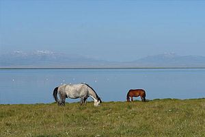 Озеро Сон-Куль Кыргызстан